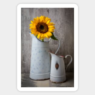 Sunflower In Antique French Pitcher Sticker